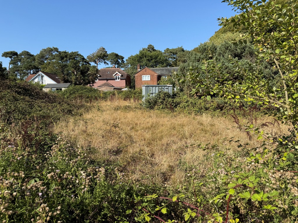 Lot: 17 - BUILDING PLOT IN SOUGHT AFTER EAST SUSSEX VILLAGE - Grass Land with surrounding hedgerow and trees
